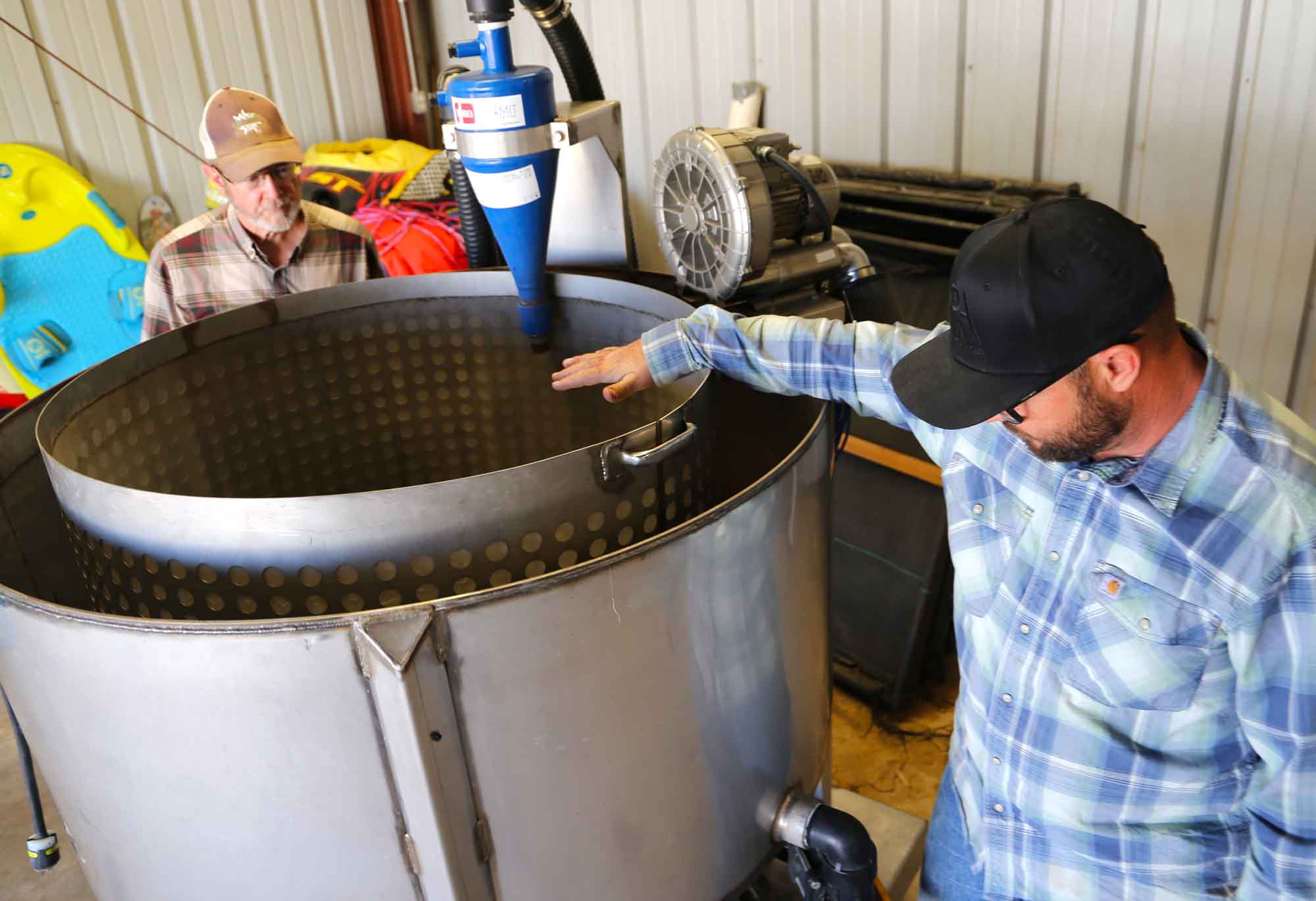 Compost Young Red Angus